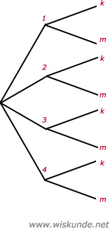 Wiskunde antwoorden