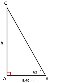Wiskunde antwoorden