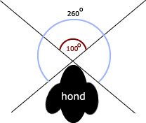 Wiskunde antwoorden