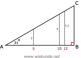 Wiskunde antwoorden