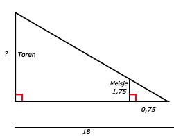 Wiskunde antwoorden