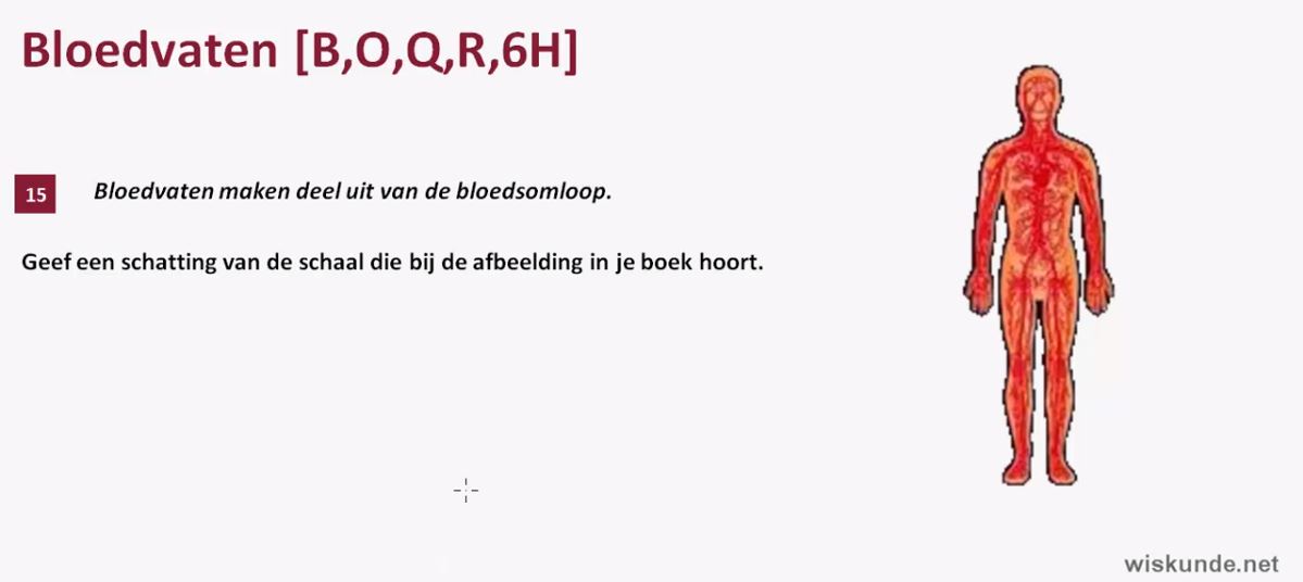 Examenopgaven Opgave 15