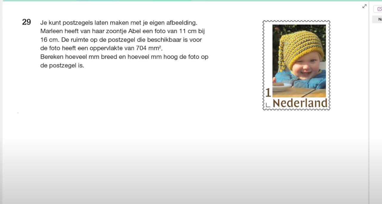 Rekenen met gelijkvormigheid Opgave 29